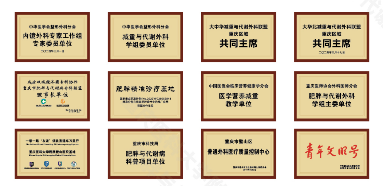 402bc50c852c4bee9284b84639196761.Png