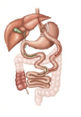 c1426fffd7da41ee8cc056e1425fb0c2.Png