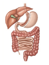 ffa2f5cacf9f4db1a243d356bdec7833.Png